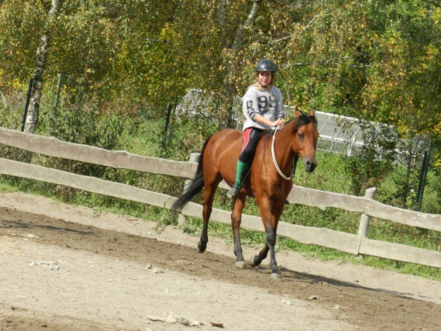 Babie Lato 2016